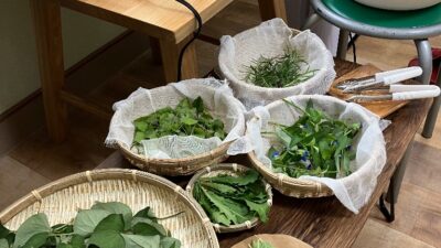 2025/07/06「知れば野草が薬草に変わる」講座