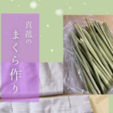 2026/02/25 まこものまくら作りワークショップ